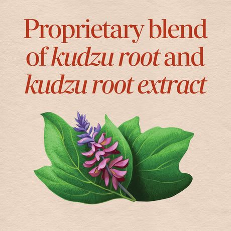 <{%MAIN2_14550%}>Nature's Way® | Kudzu Root