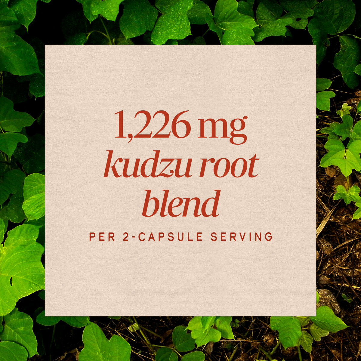 <{%MAIN3_14550%}>Nature's Way® | Kudzu Root