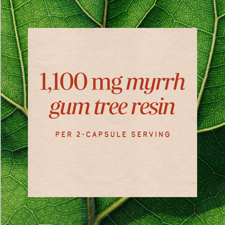 <{%MAIN3_15100%}>Nature's Way® | Myrrh Gum Tree Resin