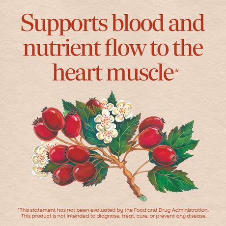 <{%MAIN2_6690%}>Nature's Way® | HeartCare Hawthorn Standardized Extract