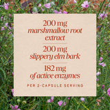 <{%MAIN3_02490%}>Nature's Way® | Acid-Ease