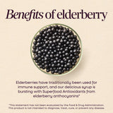 <{%MAIN3_15797%}>Nature's Way® | Sambucus Organic Traditional Elderberry Immune Syrup for Kids