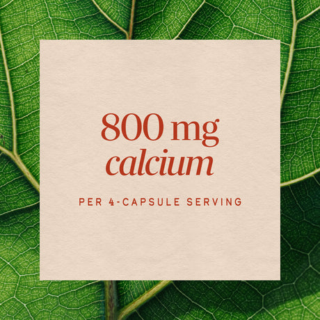<{%MAIN3_07712%}>Nature's Way® | OsteoPrime Plus