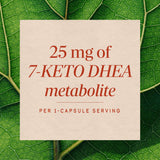 <{%MAIN3_05186%}>Nature's Way® | 7-KETO DHEA Metabolite