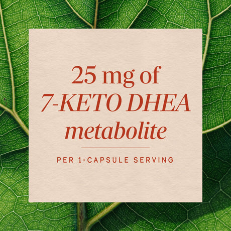 <{%MAIN3_05186%}>Nature's Way® | 7-KETO DHEA Metabolite