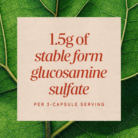 <{%MAIN3_01787%}>Nature's Way® | GS-500 Glucosamine Sulfate