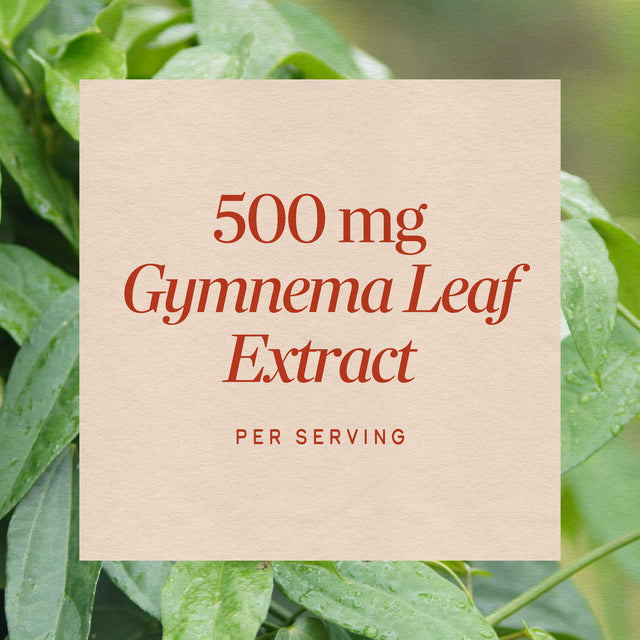 <{%MAIN3_63700%}>Nature's Way® | Gymnema