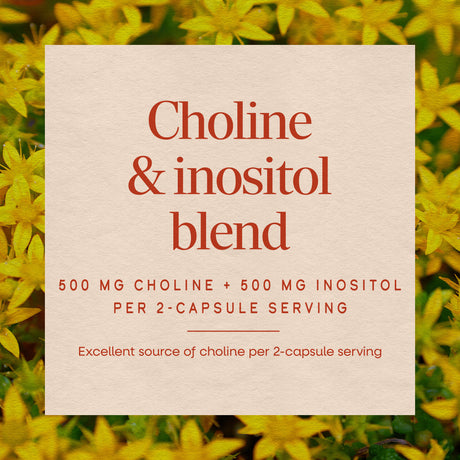 <{%MAIN4_40462%}>Nature's Way® | Choline & Inositol
