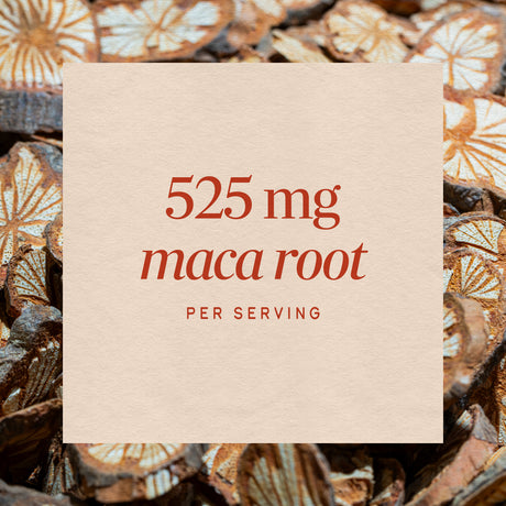 <{%MAIN3_15310%}>Nature's Way® | Maca Root