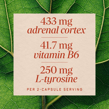 <{%MAIN3_04035%}>Nature's Way® | Adrenal Stress-End