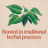 <{%MAIN2_12900%}>Nature's Way® | Fo-Ti Root