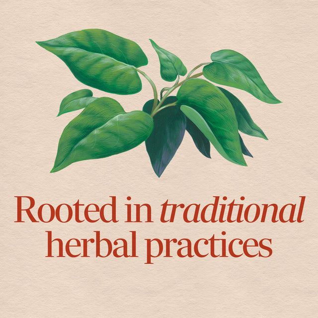 <{%MAIN2_12900%}>Nature's Way® | Fo-Ti Root