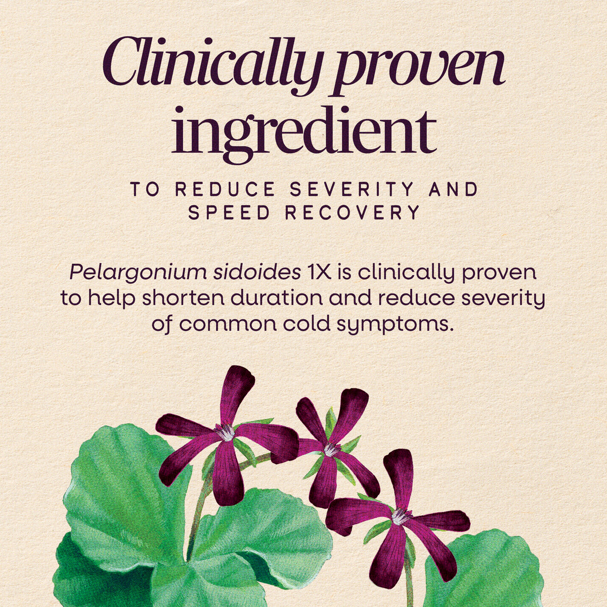 <{%MAIN3_15175%}>Nature's Way® | Sambucus Cold+Flu Relief Elderberry Chewables