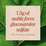 <{%MAIN3_01787%}>Nature's Way® | GS-500 Glucosamine Sulfate