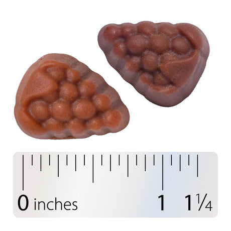 <{%360IMAGE9_15904%}>Nature's Way® | Alive! Women's 50+ Gummy Multivitamin - Gummy and ruler