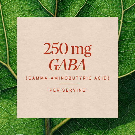 <{%MAIN3_05526%}>Nature's Way® | GABA