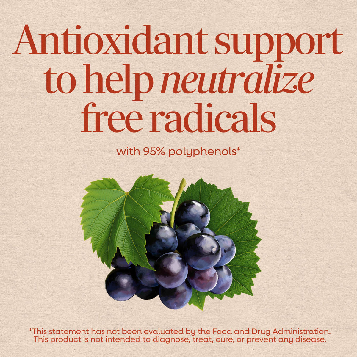 <{%MAIN9_14320%}>Nature's Way® | Grape Seed Standardized Extract