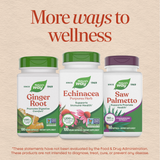 <{%MAIN13_12400%}>Nature's Way® | Echinacea