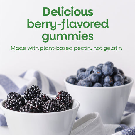 <{%MAIN4_13701%}>Nature's Way® | Zinc Gummies
