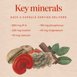 <{%MAIN3_05812%}>Nature's Way® | Cell Forté MAX3