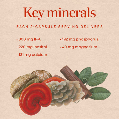 <{%MAIN3_05812%}>Nature's Way® | Cell Forté MAX3