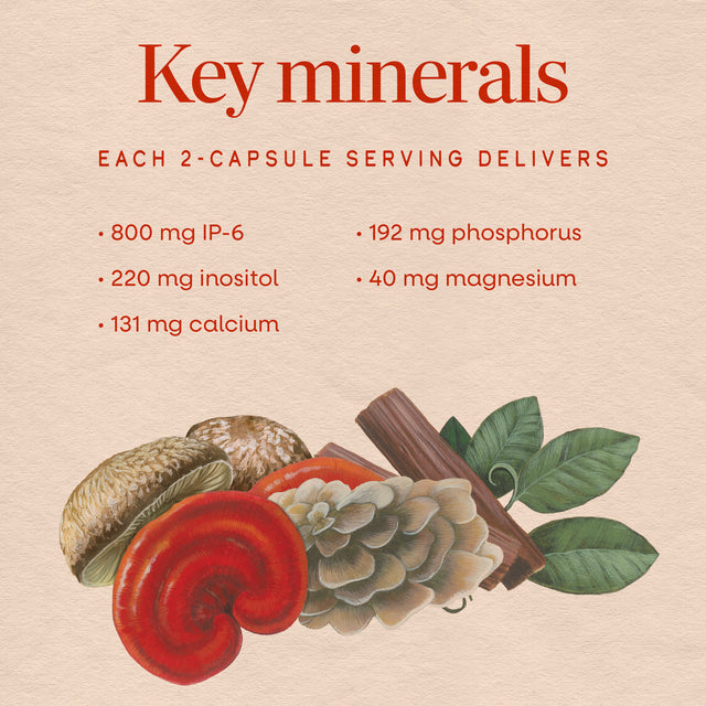 <{%MAIN3_05812%}>Nature's Way® | Cell Forté MAX3