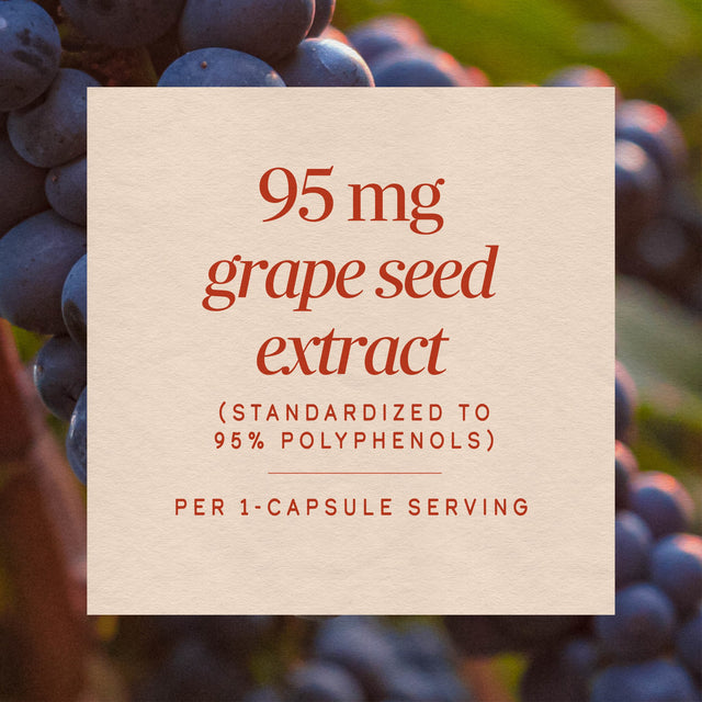 <{%MAIN10_14320%}>Nature's Way® | Grape Seed Standardized Extract