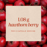 <{%MAIN9_14100%}>Nature's Way® | Hawthorn Berries