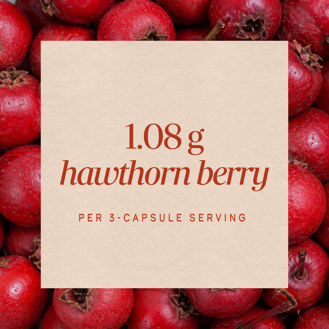 <{%MAIN9_14100%}>Nature's Way® | Hawthorn Berries