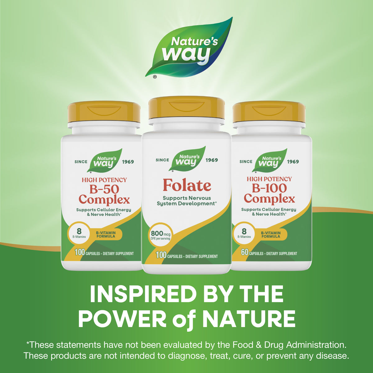<{%MAIN5_40451%}>Nature's Way® | Folate