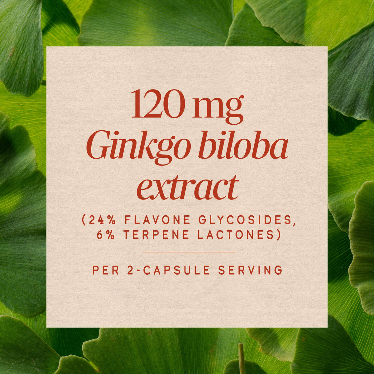 <{%MAIN9_61600%}>Nature's Way® | Ginkgo