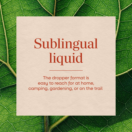 <{%MAIN3_21900990%}>Nature's Way® | Oral Ivy Drops