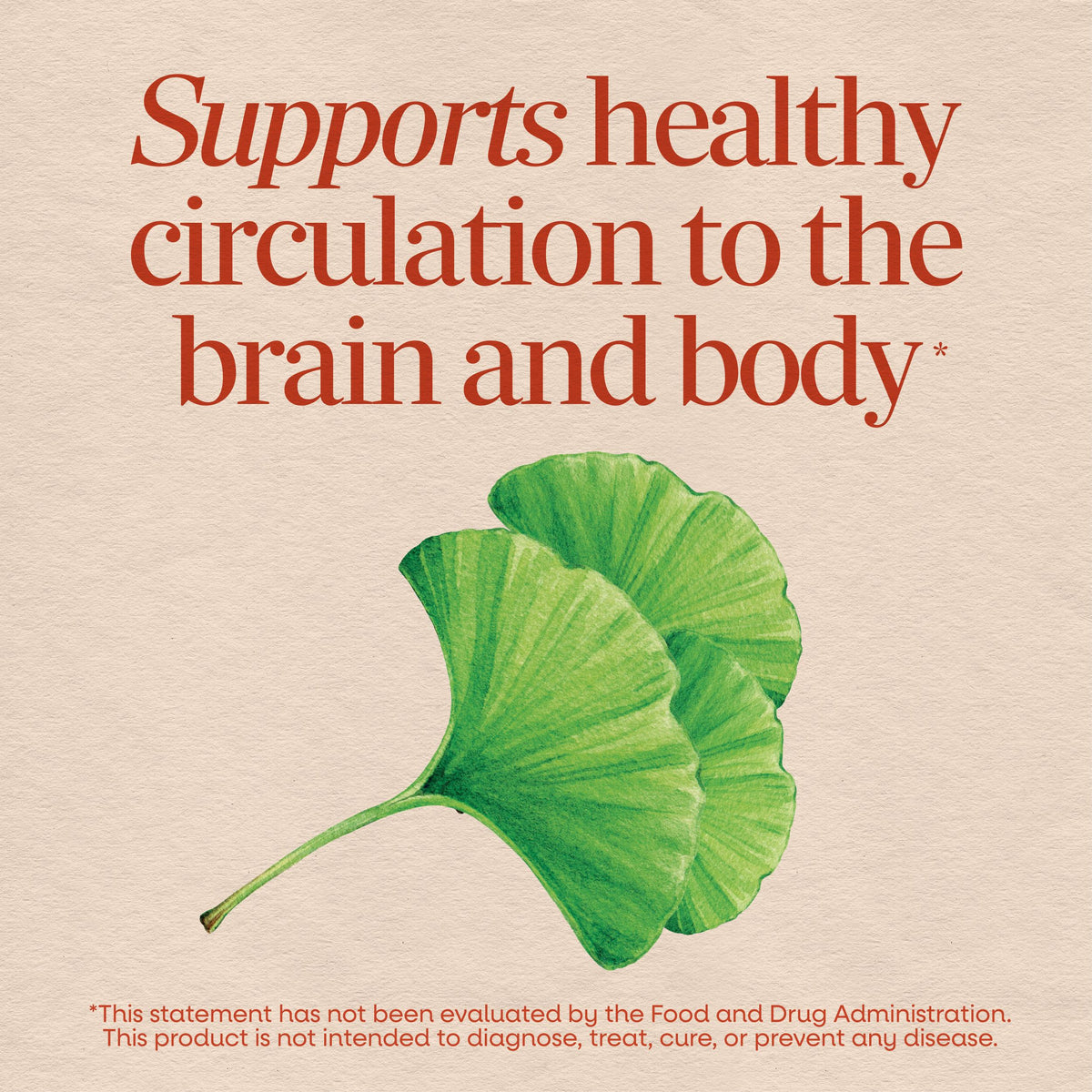 <{%MAIN8_61600%}>Nature's Way® | Ginkgo