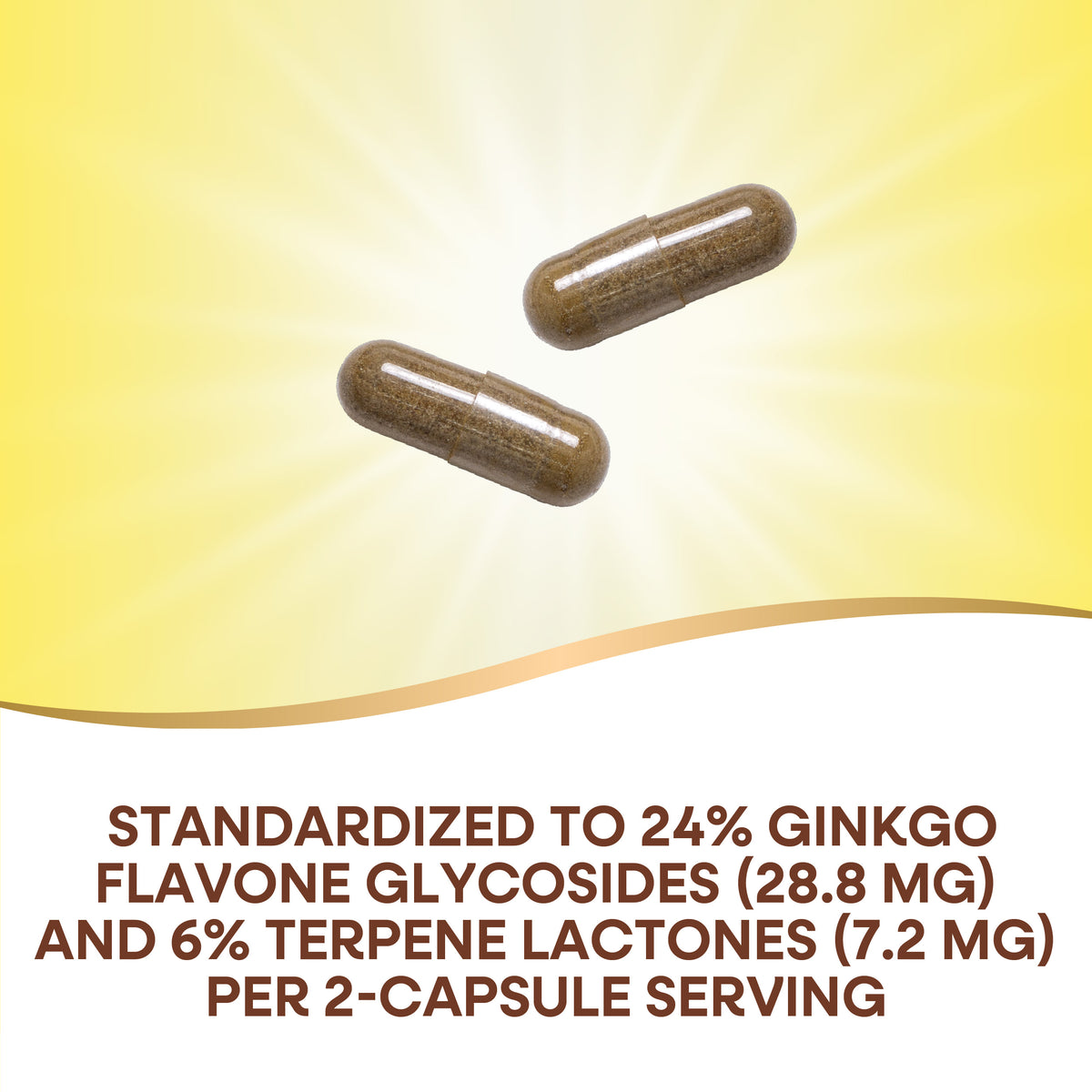 <{%MAIN2_15351%}>Nature's Way® | Ginkgo