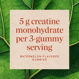 <{%MAIN3_16301%}>Nature's Way® | Creatine Gummy