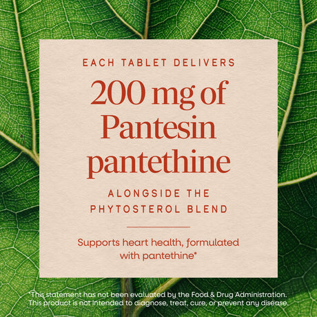 <{%MAIN3_05519%}>Nature's Way® | Cholesterol Shield