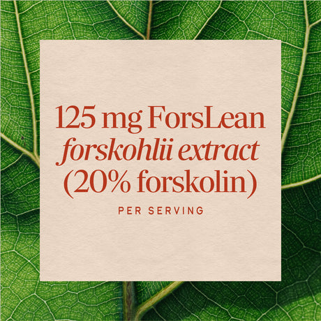 <{%MAIN3_10006%}>Nature's Way® | Forskohlii Standardized Extract
