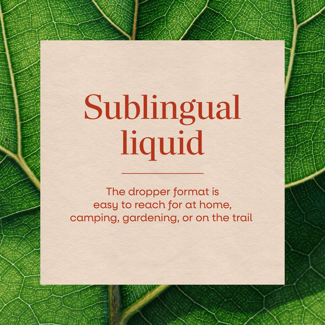 <{%MAIN3_21900990%}>Nature's Way® | Oral Ivy Drops