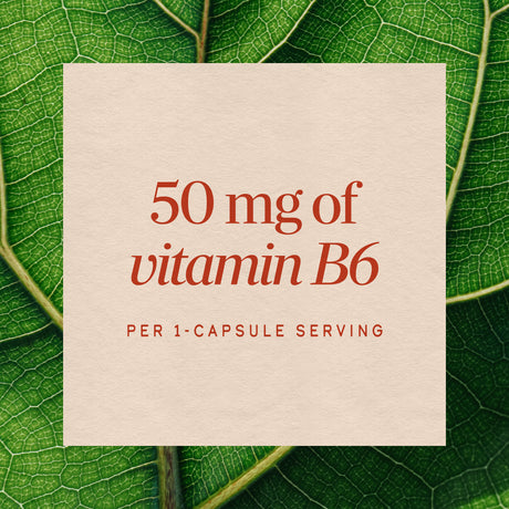 Nature's Way® | Vitamin B6 High Potency