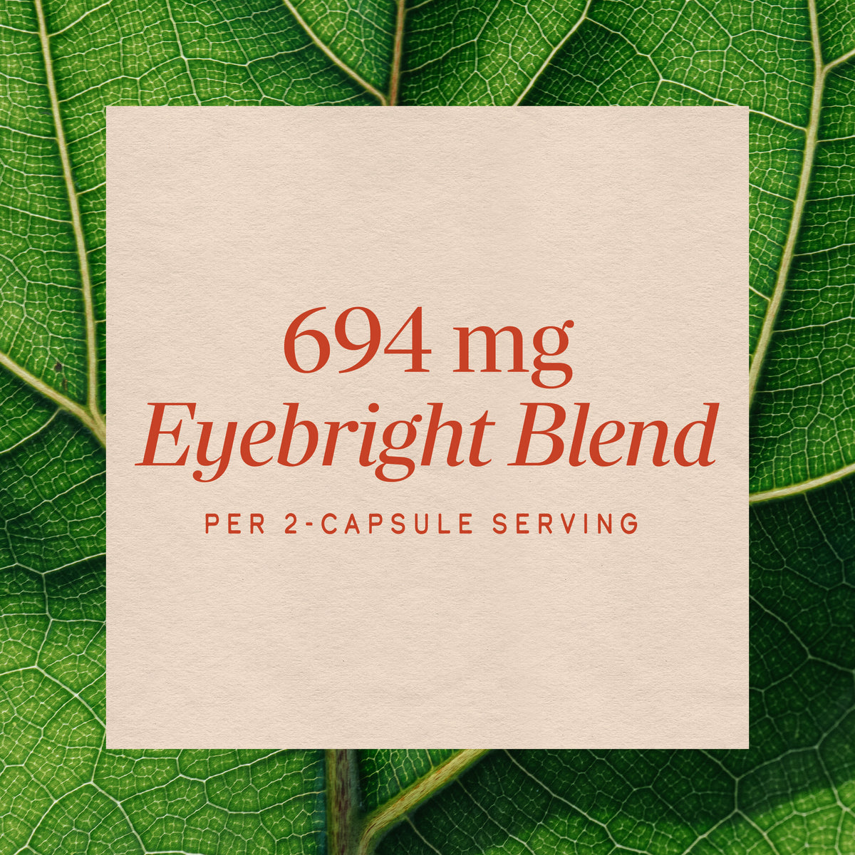 Nature's Way® | Eyebright Premium Blend