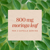Nature's Way® | Moringa