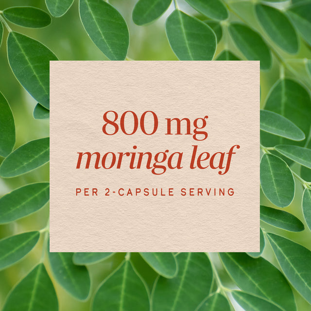 Nature's Way® | Moringa