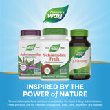Nature's Way® | Schisandra Fruit