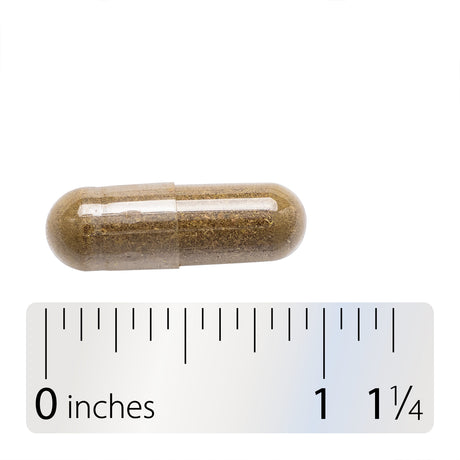 Nature's Way® | Eyebright Premium Blend - Capsule and ruler