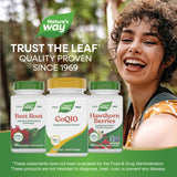 Nature's Way® | CoQ10
