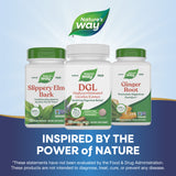 Nature's Way® | DGL Sugar Free