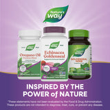 Nature's Way® | Echinacea Goldenseal Premium Blend