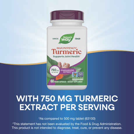Nature's Way® | Turmeric Max Potency