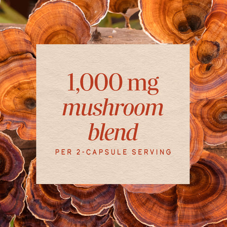 Nature's Way® | 5-Mushroom Blend