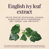 Nature's Way® | Sambucus Cough◊ + Throat* Elderberry Lozenge